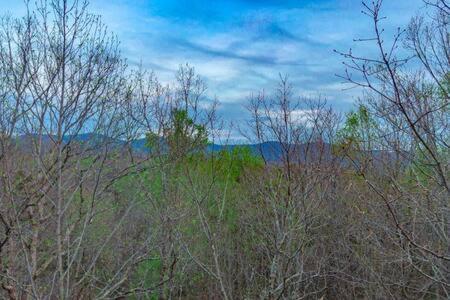 Villa Family Fun-Relax-Mtn View-Game Rm-Hottub Blue Ridge Exterior foto